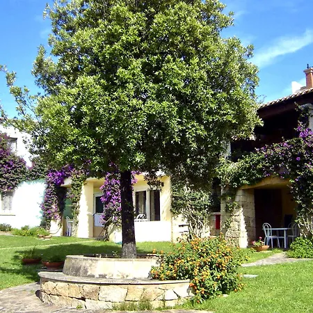 Stella Di Gallura