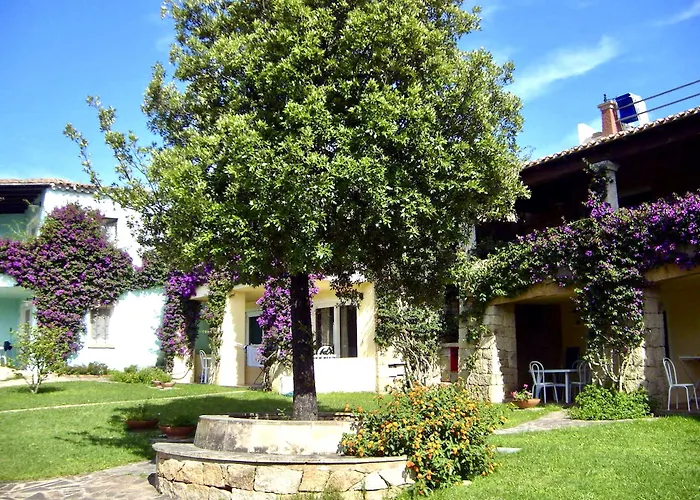 Stella Di Gallura